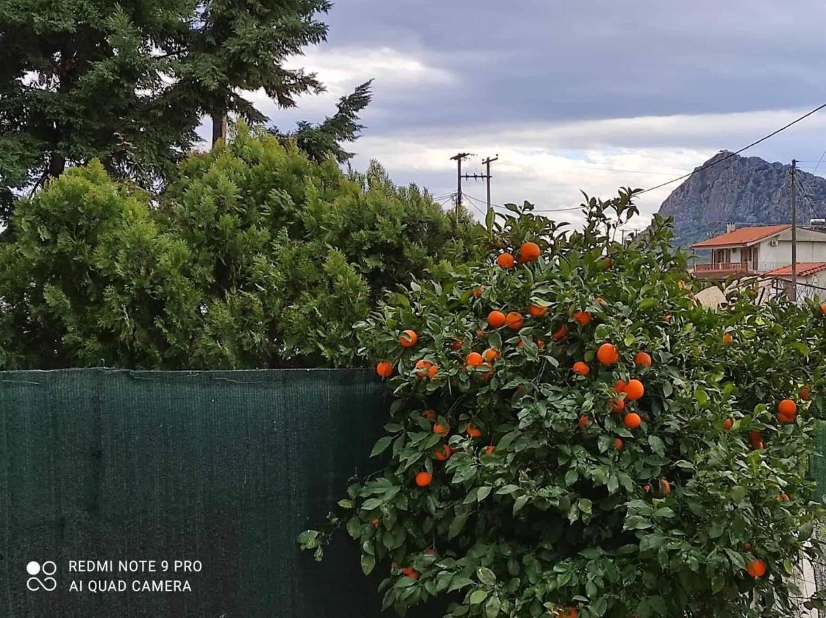 Nafplio Breeze Άνετη Διώροφη Κατοικία Από 4 Έως 9 Επισκέπτες Экстерьер фото